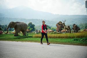 BIB: 
                            <button type="button" onclick="openModal(22436769)" class="btn btn-primary btn-sm float-right btn-popup" data-toggle="modal" data-target=".modal-high-quality">
                        <i class="fas fa-shopping-cart"></i> Add to Cart
                    </button>
                                            <button type="button" onclick="isThisMe(22436769, true)" class="btn btn-success btn-sm float-right btn-popup btn-isme hidden" data-toggle="tooltip" data-placement="bottom" title="นี่คือรูปของคุณใช่ไหม คลิกที่นี่เพื่อเอาเข้าอัลบั้ม">
                        <i class="fas fa-plus"></i> Add to album
                    </button>
                    <button type="button" onclick="isThisMe(22436769, false)" class="btn btn-warning btn-sm float-right btn-popup btn-isnotme hidden">
                        <i class="fas fa-ban"></i> Remove from album
                    </button>